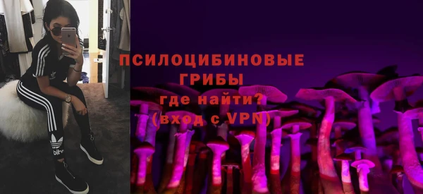 герыч Сосновый Бор