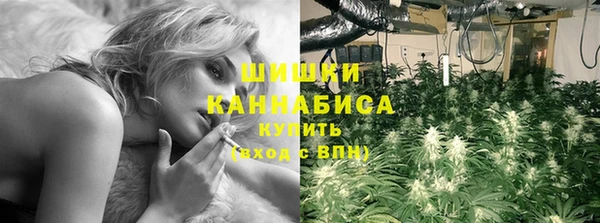 Альфа ПВП Костерёво